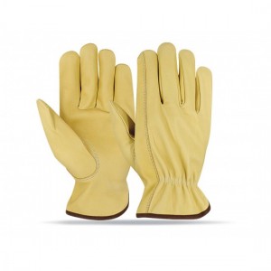 Driving Gloves