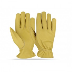 Driving Gloves