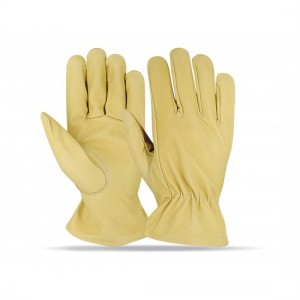 Driving Gloves