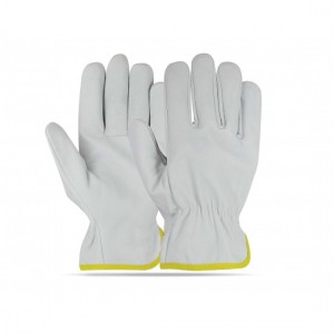 Driving Gloves